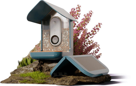 Bird Buddy - Smart Bird Feeder with Solar Roof